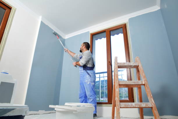 Best Mold Remediation for Healthcare Facilities  in Dakota City, NE