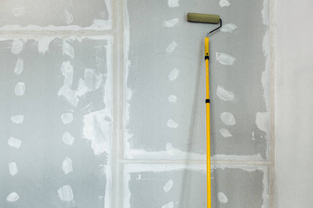 Best Black Mold Removal  in Dakota City, NE