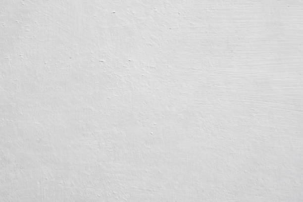 Best Attic Mold Removal  in Dakota City, NE