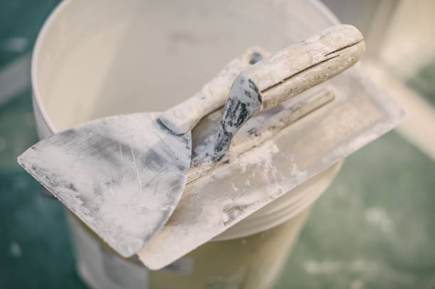 Best Mold Odor Removal Services  in Dakota City, NE